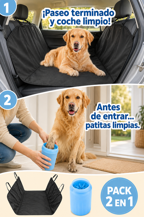 PACK DOG CAR